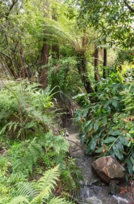 הוילה Upwey Paddys Creek Retreat מראה חיצוני תמונה
